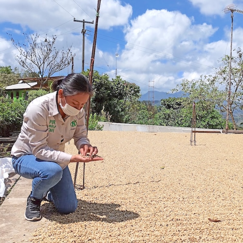 A member of the NKG Bloom Farmer Services Unit in Mexico inspects drying coffee on a rooftop patio.